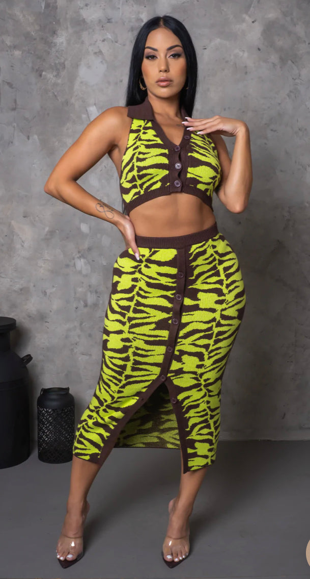 "In Touch With Me" 2pc Skirt Set