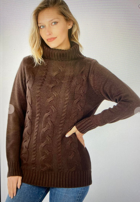 Chocolate Turtle neck Sweater